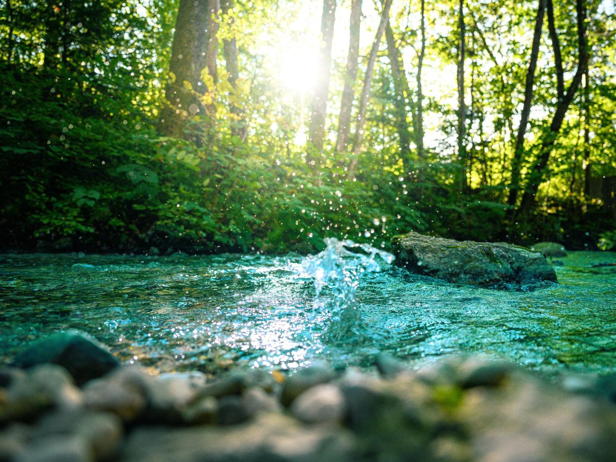 Garden Village Bled Dış mekan fotoğraf